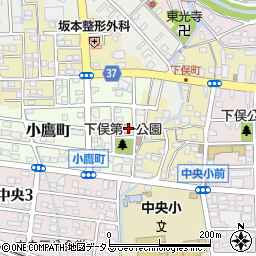 静岡県掛川市小鷹町31周辺の地図