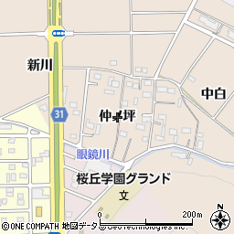 愛知県豊橋市石巻町（仲ノ坪）周辺の地図