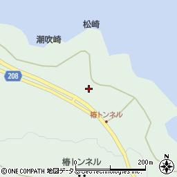 東京都大島町泉津（道下）周辺の地図
