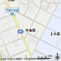 愛知県豊橋市下条西町小大道周辺の地図