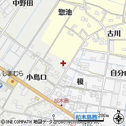 愛知県西尾市一色町野田小島口32周辺の地図