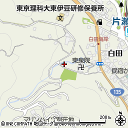静岡県賀茂郡東伊豆町白田87周辺の地図