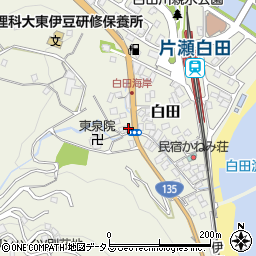 静岡県賀茂郡東伊豆町白田95-1周辺の地図