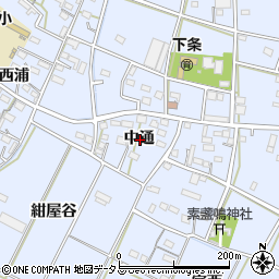 愛知県豊橋市下条東町中通周辺の地図