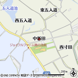 愛知県知多郡美浜町上野間中新田周辺の地図