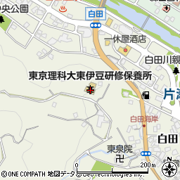 静岡県賀茂郡東伊豆町白田152周辺の地図