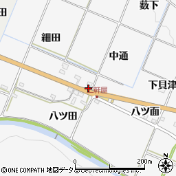愛知県豊橋市嵩山町中通周辺の地図