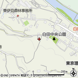 静岡県賀茂郡東伊豆町白田516周辺の地図