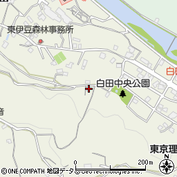 静岡県賀茂郡東伊豆町白田517周辺の地図