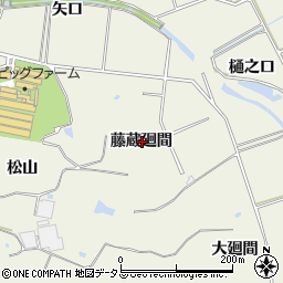愛知県知多郡美浜町上野間藤蔵廻間周辺の地図