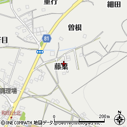 愛知県豊橋市石巻本町藤葉周辺の地図