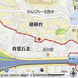 大阪府茨木市穂積台3-15周辺の地図