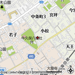 愛知県豊川市中条町小松99周辺の地図