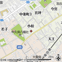 愛知県豊川市中条町小松108周辺の地図