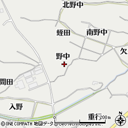 愛知県豊橋市石巻本町野中周辺の地図