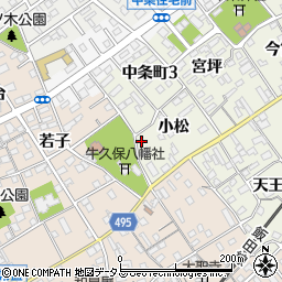 愛知県豊川市中条町小松97-1周辺の地図