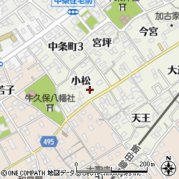 愛知県豊川市中条町小松110周辺の地図