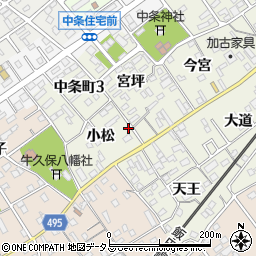 愛知県豊川市中条町小松115周辺の地図
