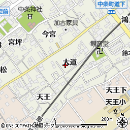 愛知県豊川市中条町大道周辺の地図