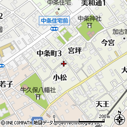 愛知県豊川市中条町小松90周辺の地図