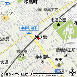 愛知県豊川市中条町鴻ノ巣周辺の地図