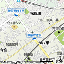 愛知県豊川市中条町道下周辺の地図