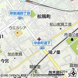 愛知県豊川市中条町（道下）周辺の地図