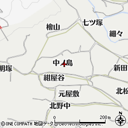 愛知県豊橋市石巻本町中ノ島周辺の地図