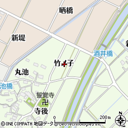 愛知県西尾市吉良町酒井竹ノ子周辺の地図