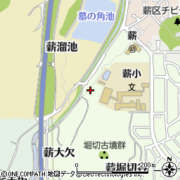 京都府京田辺市薪大欠周辺の地図