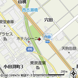 愛知県豊川市白鳥町穴田110-1周辺の地図