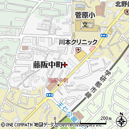 大阪府枚方市藤阪中町11-30周辺の地図