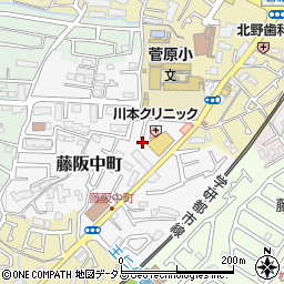 大阪府枚方市藤阪中町11-1周辺の地図