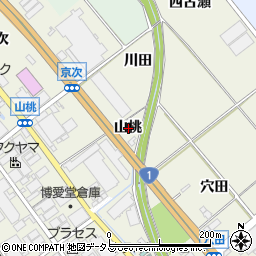 愛知県豊川市白鳥町山桃周辺の地図