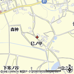 愛知県豊橋市石巻平野町巳ノ甲43周辺の地図