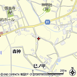 愛知県豊橋市石巻平野町巳ノ甲55周辺の地図