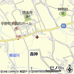 愛知県豊橋市石巻平野町森神周辺の地図