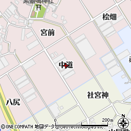 愛知県豊川市麻生田町（中道）周辺の地図