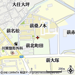 京都府京田辺市薪桑ノ木28周辺の地図