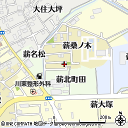 京都府京田辺市薪桑ノ木8周辺の地図