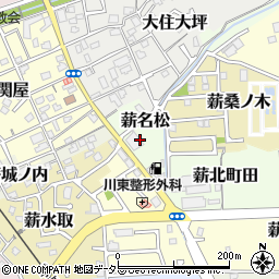 京都府京田辺市薪名松周辺の地図