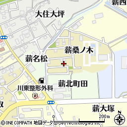 京都府京田辺市薪桑ノ木9周辺の地図