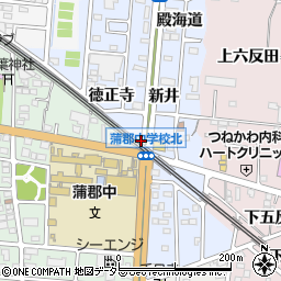 愛知県蒲郡市新井形町前道下周辺の地図