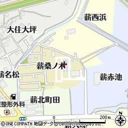 京都府京田辺市薪桑ノ木55周辺の地図