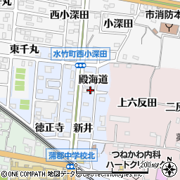 愛知県蒲郡市新井形町殿海道35周辺の地図