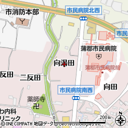 愛知県蒲郡市平田町向湯田周辺の地図