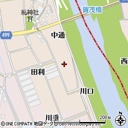 愛知県豊川市向河原町中通周辺の地図