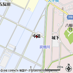 愛知県西尾市吉良町寺嶋中道周辺の地図