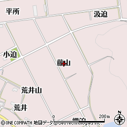 愛知県西尾市吉良町駮馬藤山周辺の地図