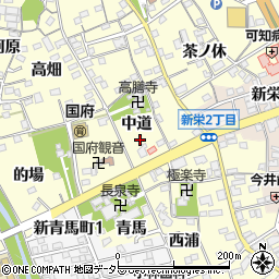 愛知県豊川市国府町中道周辺の地図